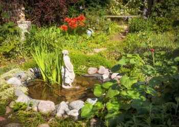 Shkencëtarët japin alarmin: Bimët po zhduken 350 herë më shpejt sesa mesatarja historike