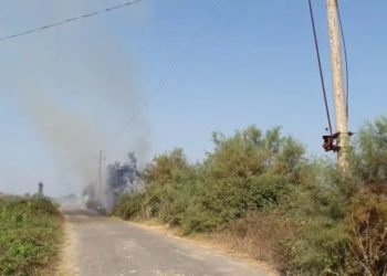 Video/ I vënë zjarrin arës, kështu digjet rrjeti elektrik në Fier
