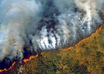 Fotot false/ Po digjet!…Por pamjet e Amazonës janë…të vjetra