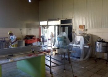 AKU gjobit furrën e bukës në Tiranë, tregtonte miell të skaduar dhe produkte me insekte