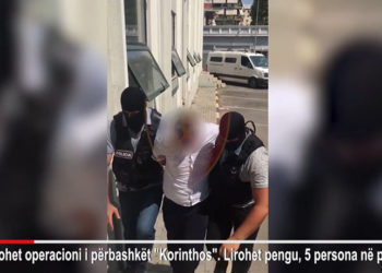 VIDEO/ Peng bashkëkombasin për 10 mijë €, pranga 4 shqiptarëve në Greqi dhe bashkëpunëtorit në Tiranë