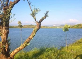 FOTOT/ Liqeni i Belshit, konsiderohet si destinacioni turistik për të kaluar fundjavën