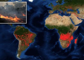 Bolsonaro refuzon ndihmën e G7 për Amazonën, zjarret po hyjnë edhe në Paraguai