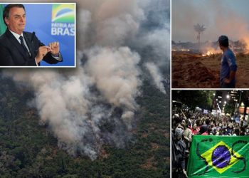 VIDEO/ Pas paralajmërimit të shkencëtarëve, Bolsonaro dërgon ushtrinë për të luftuar më flakët në Amazonë
