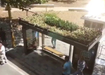 VIDEO/ Në Tiranë, për herë të parë, stacione autobusi me çati të gjelbëruar