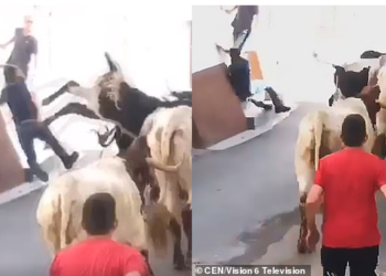 VIDEO/ Goditja fatale, demi “fluturon” në ajër një nga ndjekësit në rrugët e qytetit