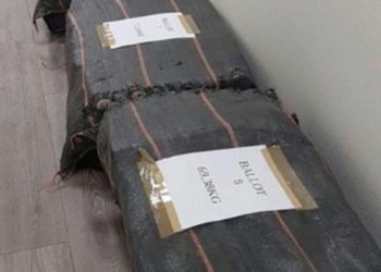 Bllokohet mbi një ton kokainë në Francë me vlerë 74 mln euro