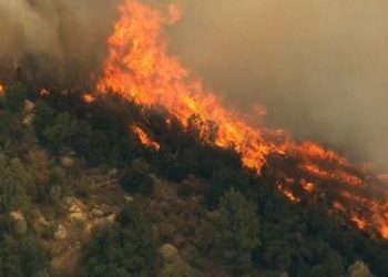 FOTO/ Zjarr pranë aksit Korçë-Ersekë, banorët i vënë flakën tokës për ta pastruar