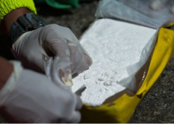 “200 kg kokainë dhe armë”/ Shkatërrohet banda shqiptare në Itali, trafikonin drogë nga Holanda