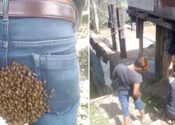 VIDEO+FOTO/ Fenomen i pazakontë, 25-vjeçarit i ndodh gjëma, prapanica i kthehet në koshere