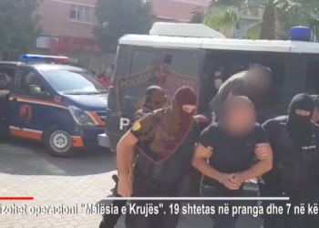 Superoperacioni antikanabis i policisë në Krujë, arrestohen 19 persona, 7 në kërkim