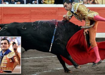 FOTO/ Momenti tmerrshëm kur demi i ngul bririn mes këmbëve toreadorit