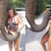 VIDEO+FOTO/ Moment i sikletshëm për modelen, elefanti përpiqet t’i “shqyejë” bikinin