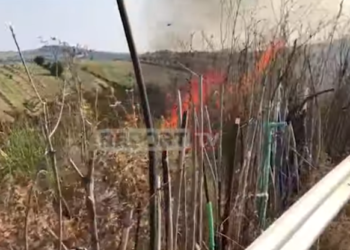 Zjarr me përmasa të mëdha në një fshat të Rrogozhinës, rrezikohen antenat e trasmetimit televiziv