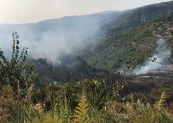 Pas Shëngjinit dhe Shëndëllisë, përfshihet nga zjarri një zonë me ullishte në Roskovec