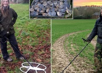 Kërkonin për metale të çmuara, çifti zbulon thesarin që vlen 5 mln paund