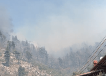 VIDEO/ Kërkohet ndërhyrje nga ajri për zjarrin në pishat e Shëngjinit, prefekti i Lezhës: Flakët përhapen nga era