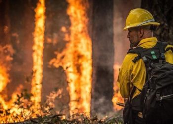 FOTOT/ Pamje apokaliptike që la zjarri në Brazil, ushtria nis operacionet në Amazon