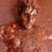 “Tomatina”/ Në Spanjë mbahet e famshmja ‘luftë’ me domate