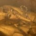 Arkeologjia/Egjipti prezanton sarkofagun e Tutankhamonit në restaurim e sipër
