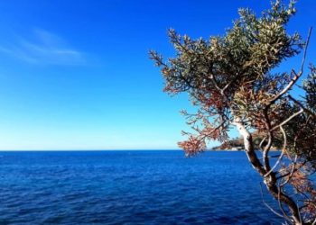 Verë edhe pas gushtit, 10 ditët e para të shtatorit do jenë shumë të nxehta