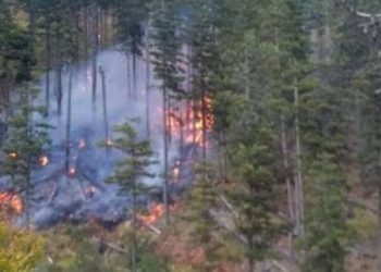 Mali me pisha në Shëngjin nën pushtetin e flakëve, ushtria në ndihmë të zjarrfikëses