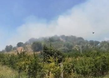 Digjen disa ha ullishte në Fier, zjarri rrezikon banesat