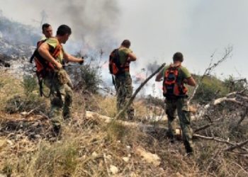 I vendosën zjarrin malit të Shëngjinit, gjykata lë të lirë dy të arrestuarit