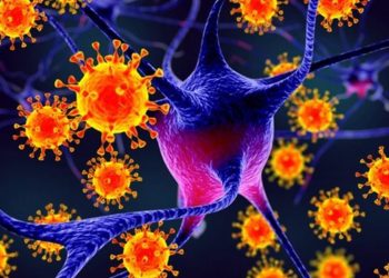 A e dini se sekretet e viruseve mund të zbulohen nëpërmjet matematikës