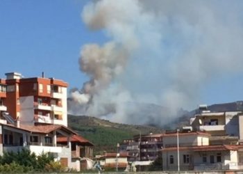 Zjarr në kodrat me ullishte e fiq të Beratit