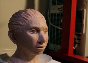 Shkencëtarët rindërtojnë pamjen e kushëririt tonë të largët