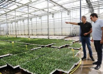 Zhvillimi rural/ Edi Rama: “Po përfundon në Divjakë, një superserrë e teknologjisë së fundit”