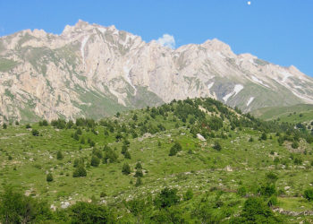 Humbin dy fëmijë, u nisën për në bjeshkët e Korabit