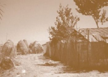 Relacioni i 1959/ Janë mbi 300 të shpërngulur me dhunë nga Korça, jetë në mjerim në barakat e Lushnjes