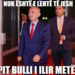 MEMET: “Nuk është aq e lehtë të jesh Pit Bulli i Ilir Metës”
