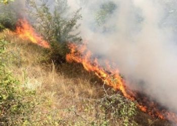 Kullotat nën “pushtetin” e flakëve, zjarri rrezikon edhe banesat në Tragjas të Vlorës