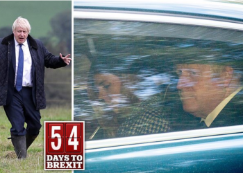 Deputetët britanikë të gatshëm për gjyq me Johnson për Brexit, kryeministri nuk pranon marrëveshje me BE