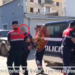 VIDEO/ Policia arreston 5 kultivuesit e bimëve narkotike në Berat, mes tyre inspektorin e Komisariatit