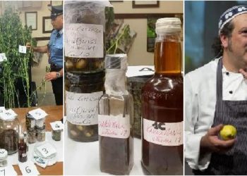 Përgatiste receta me kanabis, arrestohet kuzhinieri i njohur italian