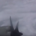 VIDEO e frikshme, aeroplani i hyn mespërmes uraganit “Dorian”