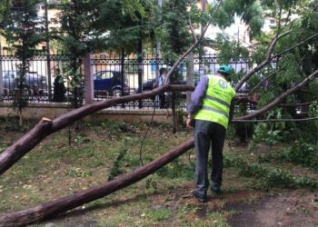 Pemë të rrëzuara e ura të dëmtuara, ja çfarë ndodhi mbrëmë në Tiranë
