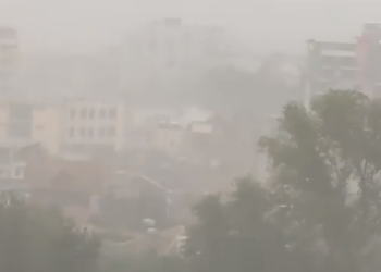 VIDEO/ Vendi përfshihet nga moti i keq, stuhia godet Fierin, rrëzohen pemët