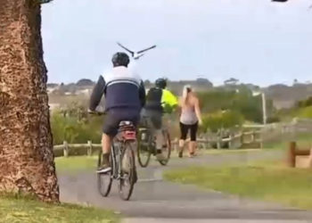 Laraska agresive sulmon dhe vret një person në Australi, 1700 sulme për 2019-tën