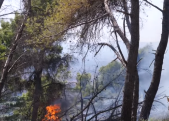 Policia në kërkim të autorëve të zjarreve në Krastë të Elbasanit