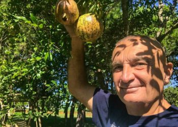 “Venecia” e fundosi, por Meta qesëndis me shegët: Të paktën po piqen!