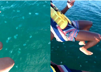 VIDEO/ Momenti i sikletshëm kur dy parashutistët nuk ulen dot në det se është i mbushur me kandila