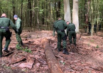 VIDEO/ I riu shqiptar gjendet i masakruar në një pyll në Gjermani, ja çfarë kanë zbuluar hetuesit
