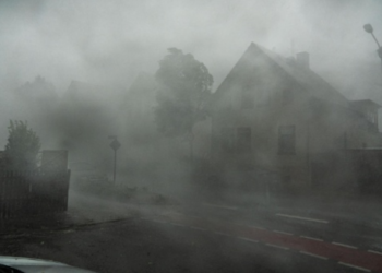 Stuhia merr çfarë gjen para në Gjermani, shkul edhe pemët