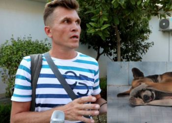 Vlorë/E pëson turisti rus që ndërhyri për të penguar dhunimin e një qeni