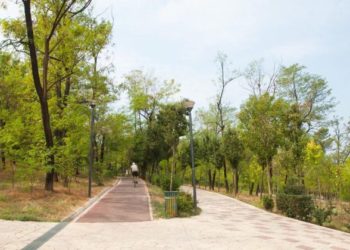 Tirana e gjelbër/ Transformimi i bukur i liqenit artificial
